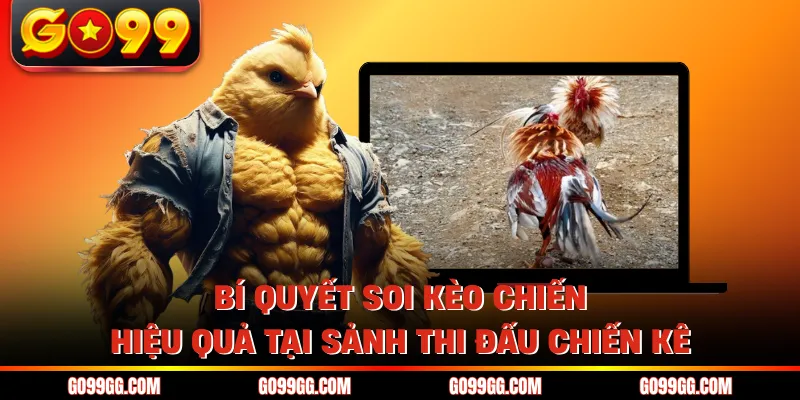 Bí quyết soi kèo chiến hiệu quả tại sảnh thi đấu chiến kê