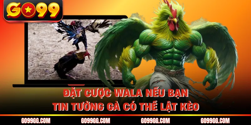 Đặt cược WALA nếu bạn tin tưởng gà có thể lật kèo