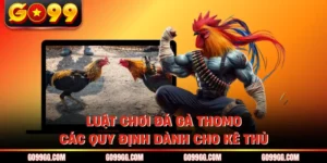 Luật Chơi Đá Gà Thomo - Các Quy Định Dành Cho Kê Thủ